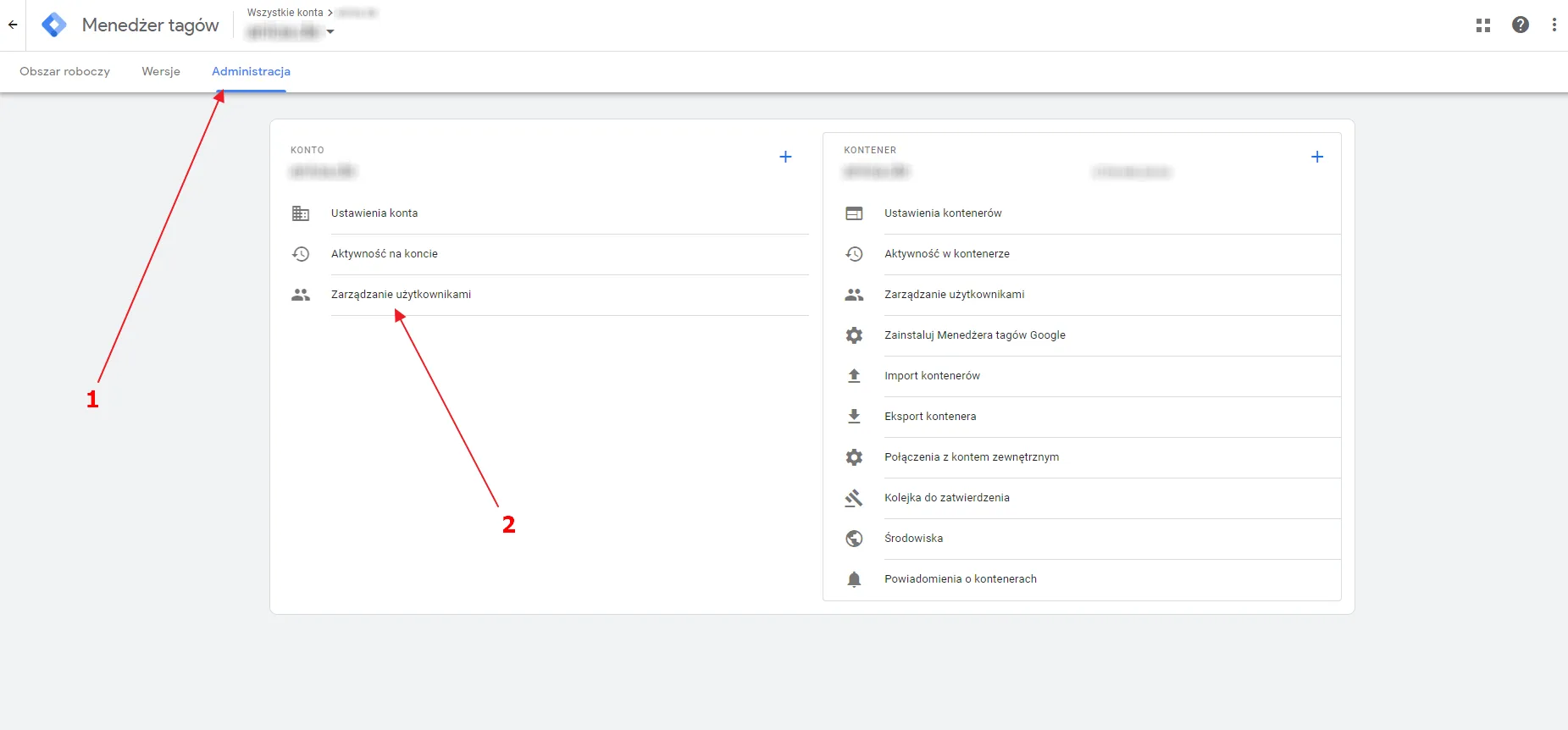 Google Tag Manager: Admin tab with User Management